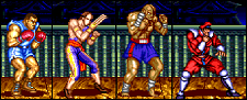 genesis street fighter ii sprites